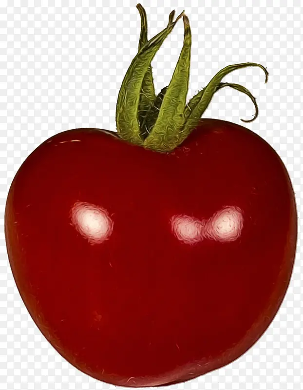 李子番茄 番茄 灌木番茄