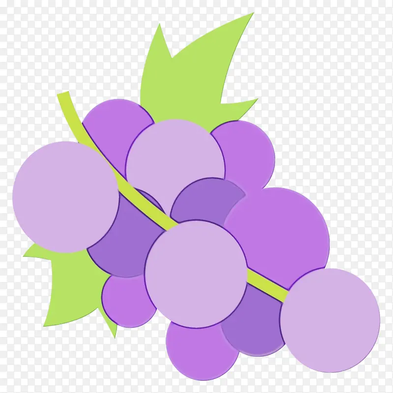 葡萄 紫色 紫罗兰