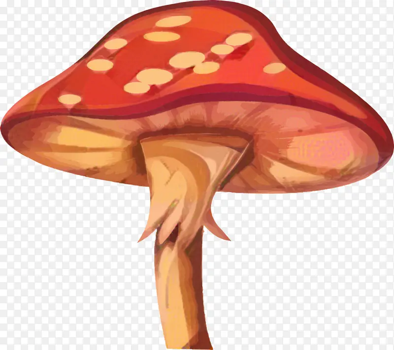 帽子 蘑菇 橙子