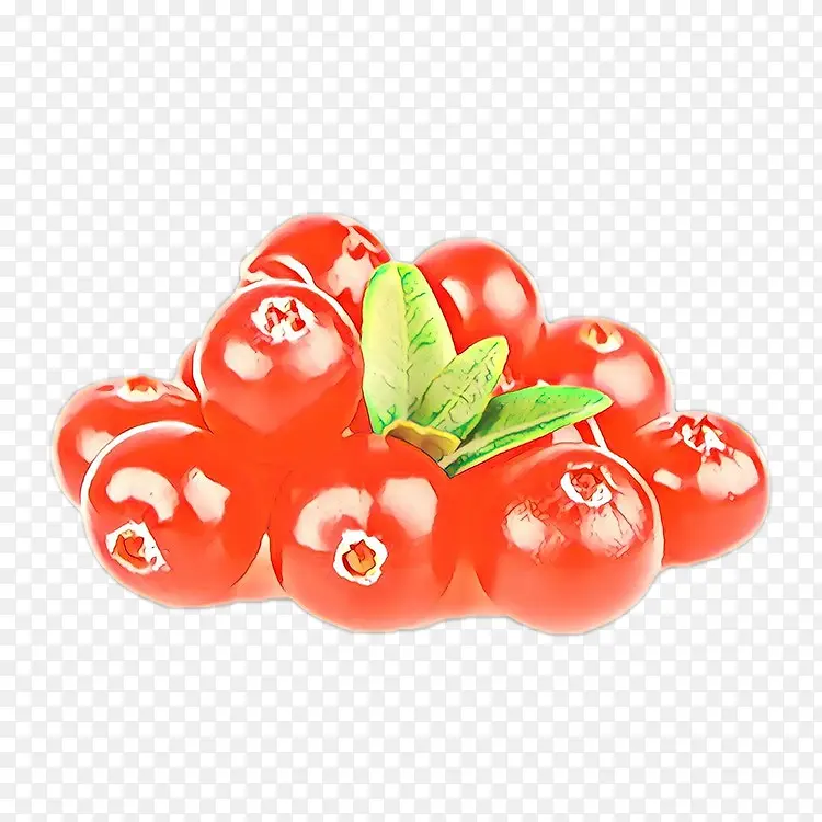 食品 番茄 天然食品