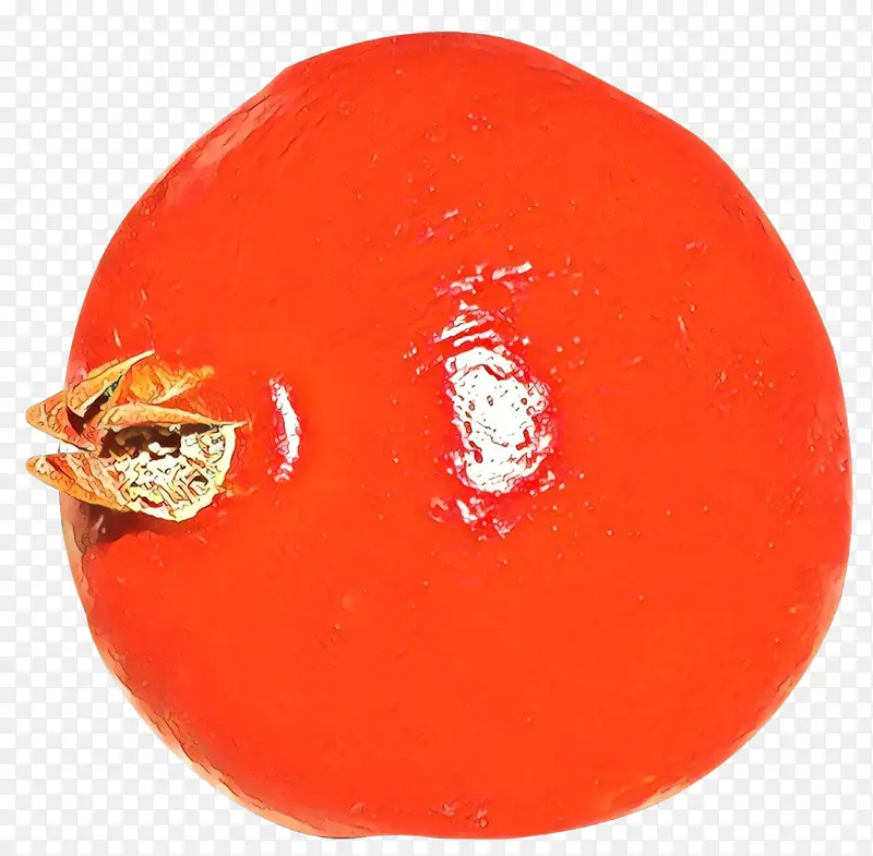 果皮 石榴 番茄