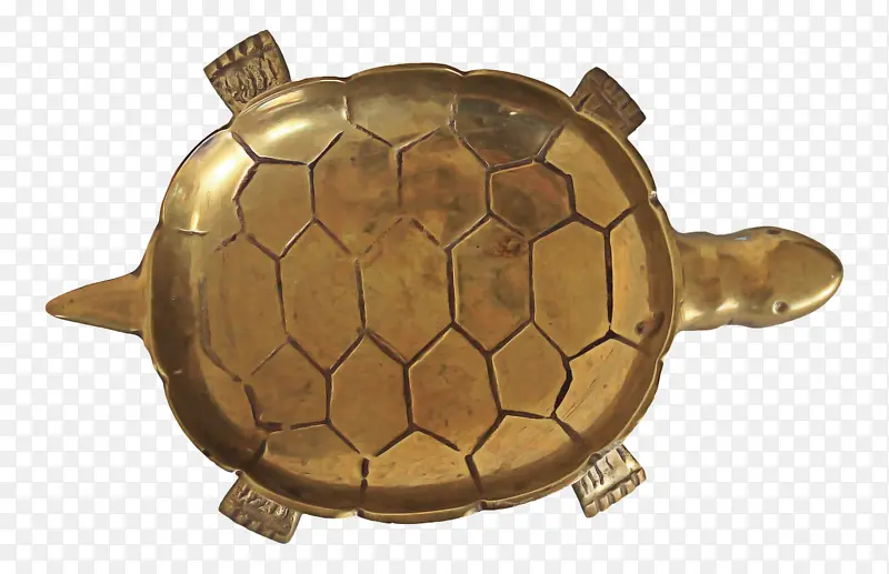 箱龟 乌龟 黄铜