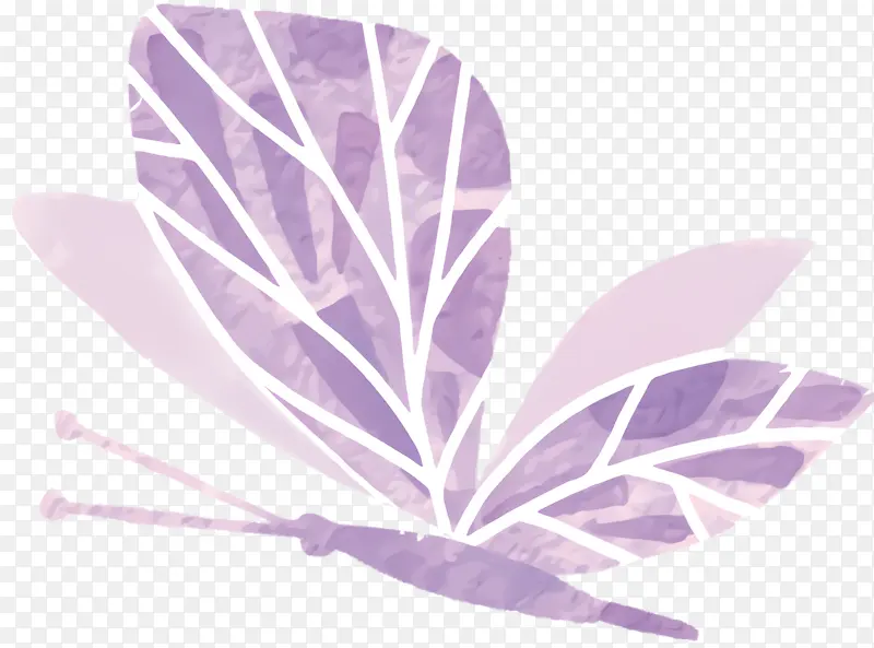 叶子 紫色 花瓣