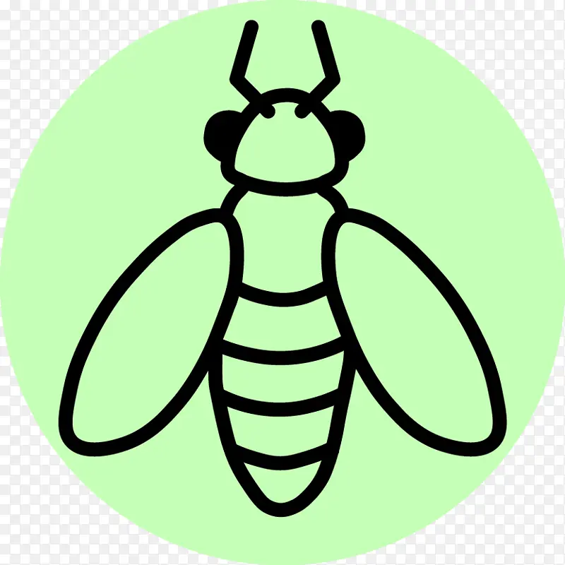 昆虫 蜜蜂 绘画