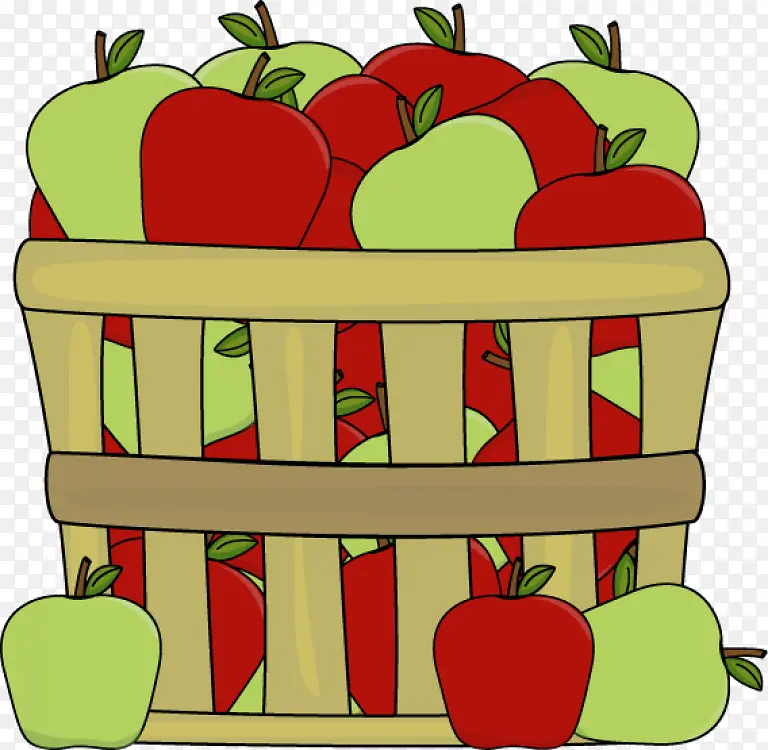 水果采摘 苹果 果园