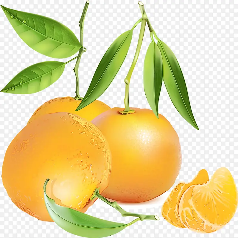 克莱门汀 橘子 橙子