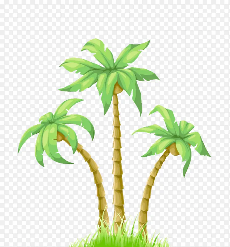 椰子 棕榈树 卡通