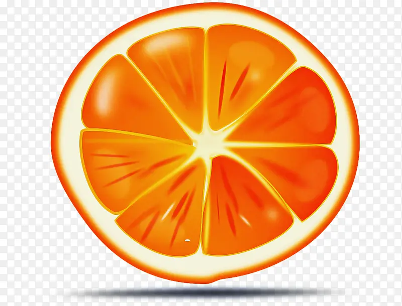 橙子 绘画 柑橘