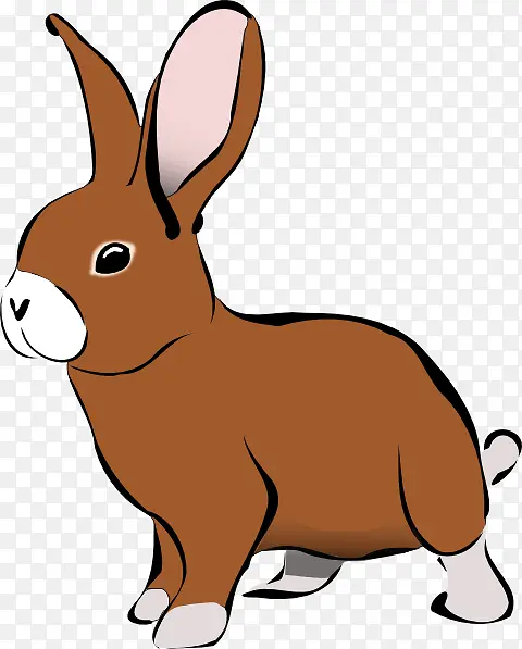 兔子 复活节兔子 动物