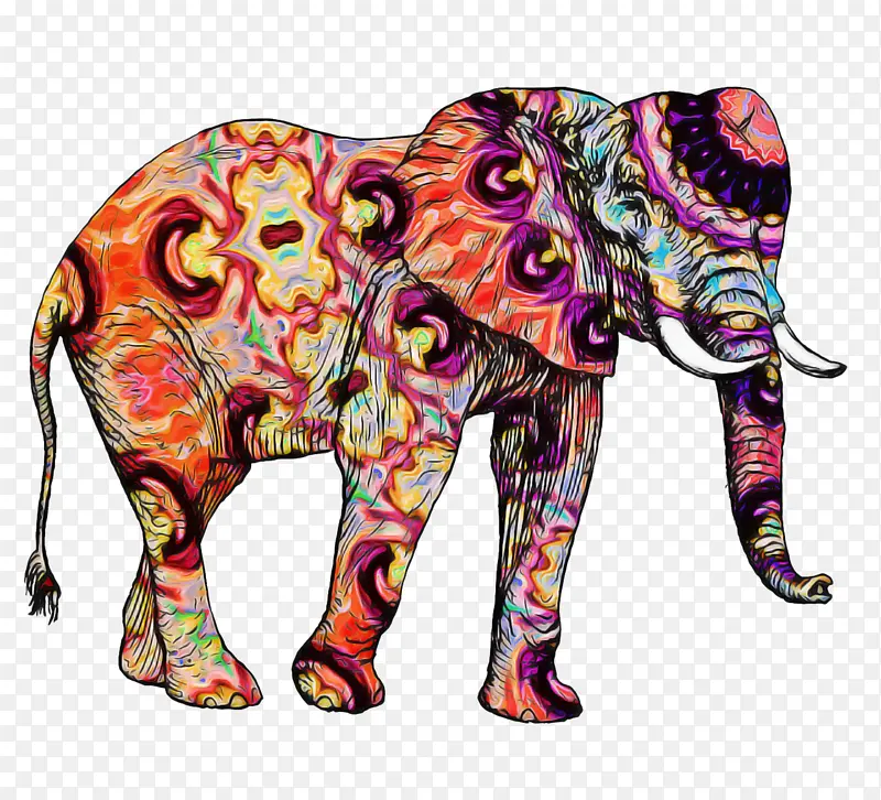 印度象 非洲象 视觉艺术