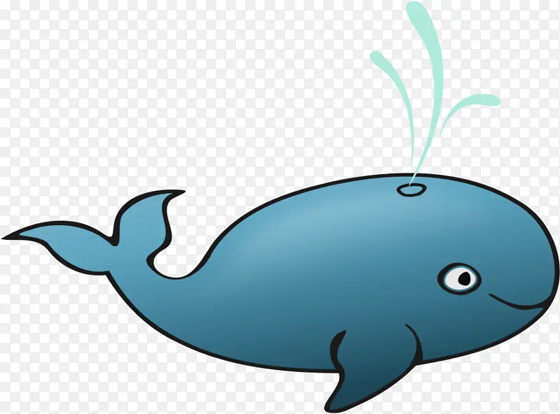 鲸鱼 蓝鲸 海豚