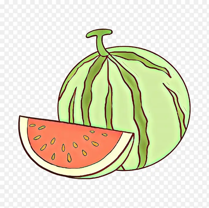 西瓜 水果 素描
