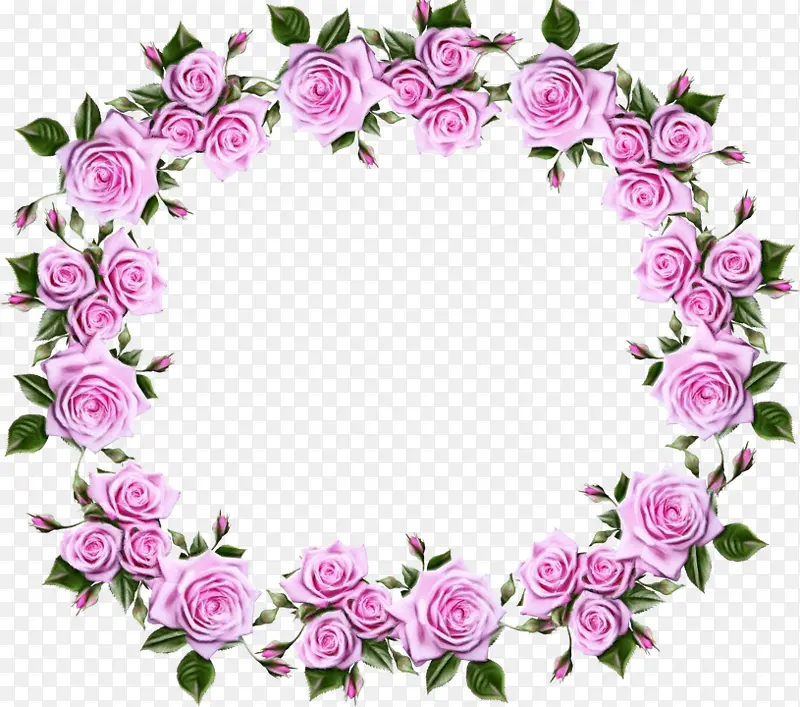 相框 玫瑰 花卉设计