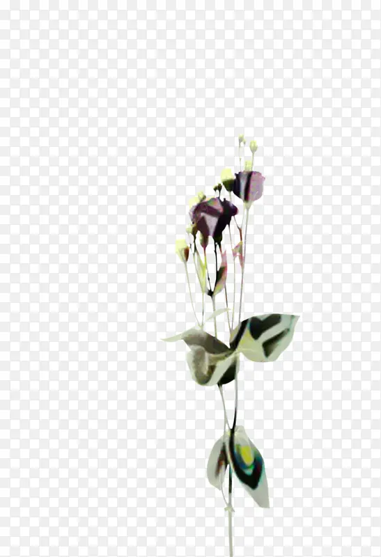 切花 花瓶 花卉设计
