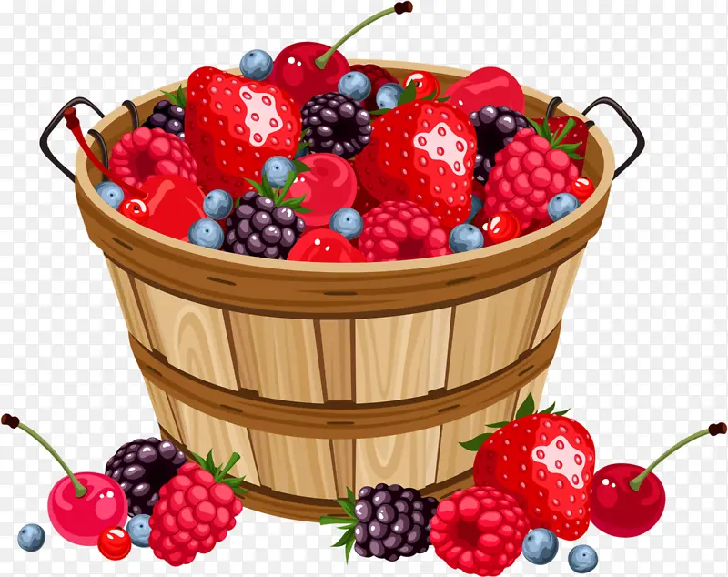 浆果 蓝莓 篮子
