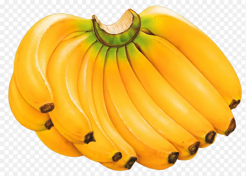 香蕉 烹饪香蕉 素食