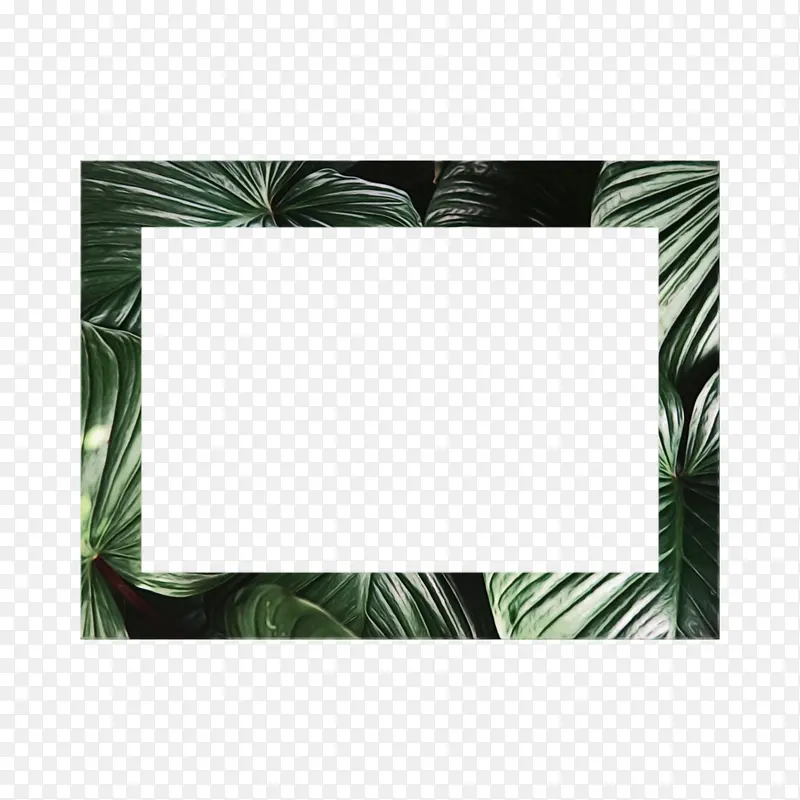 相框 水彩画 拼贴
