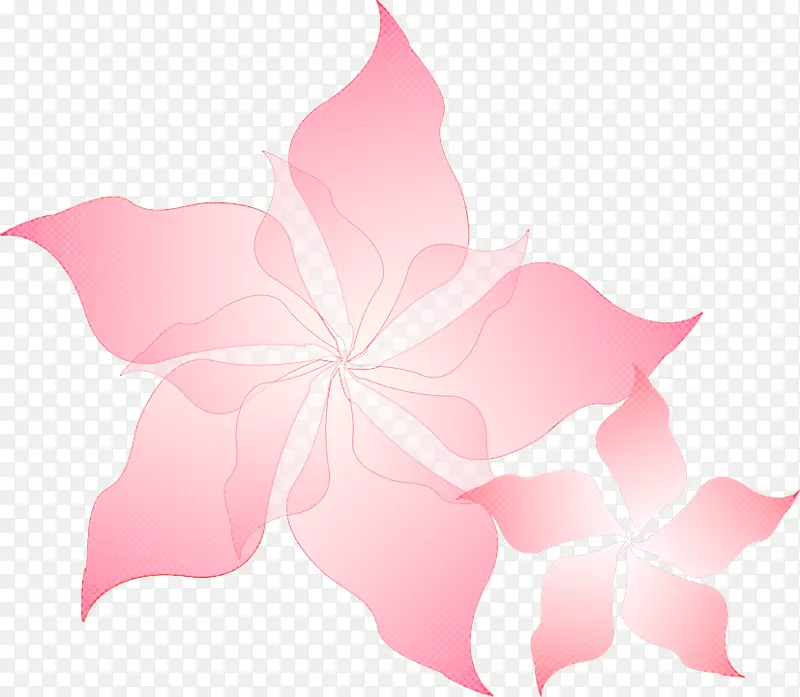 花朵 花卉设计 粉色花朵