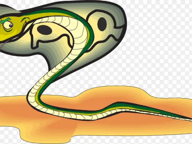 蛇 爬行动物 眼镜蛇