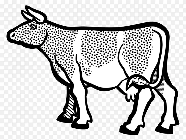 荷斯坦弗里西亚牛 小牛 艾尔郡牛