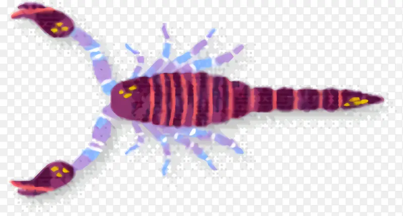 生物 紫色 鱼