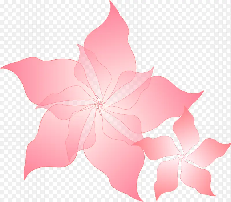 花 粉色 花卉设计