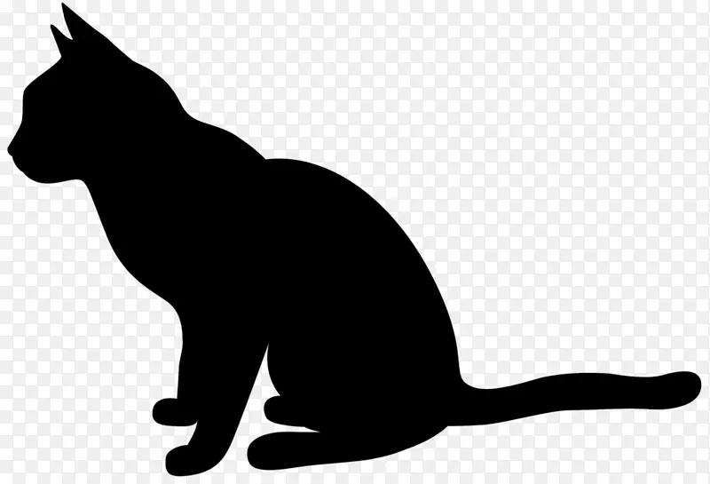 猫 剪影 黑猫