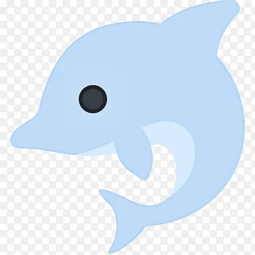 海豚 生物学 鱼