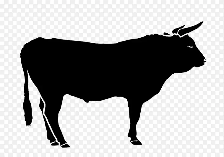 荷斯坦弗里西亚牛 安格斯牛 家畜