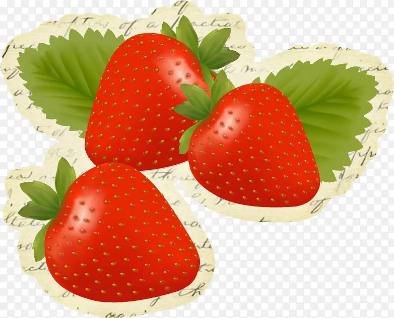 草莓 浆果 食品
