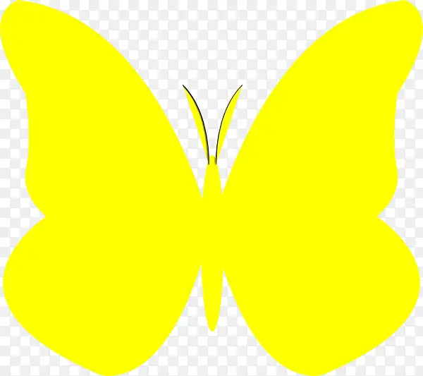 蝴蝶 黄色 绘画