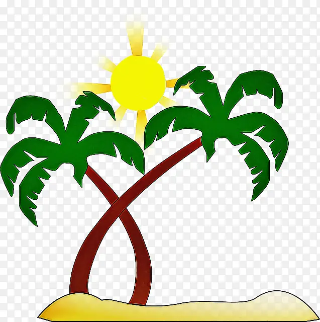 棕榈树 树 椰子