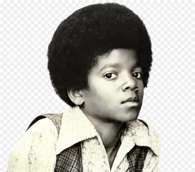 迈克尔杰克逊 流行音乐 歌手