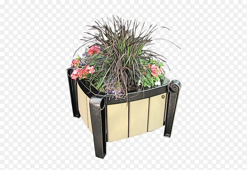 花盆 植物 长方形