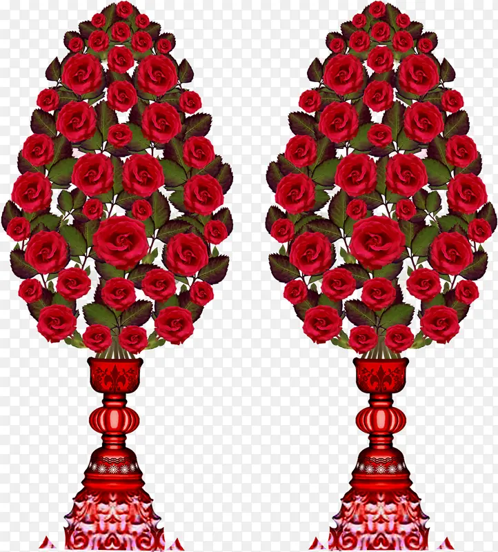 花园玫瑰 玫瑰 花朵
