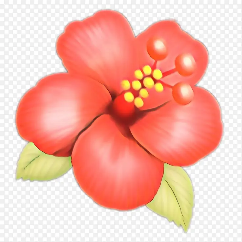 植物 花瓣 花