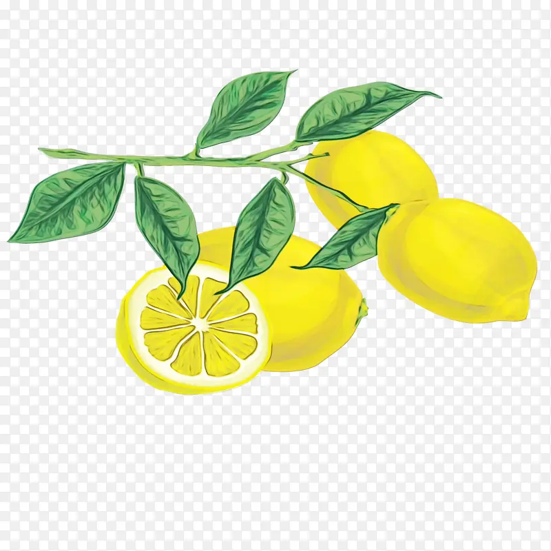 柠檬 香橼 酸橙