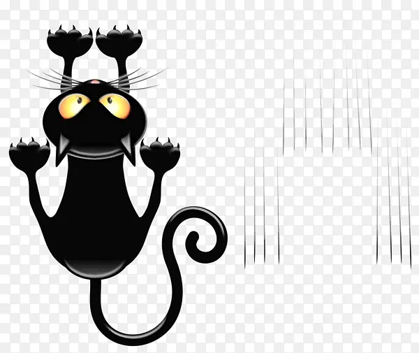 猫 小猫 黑猫