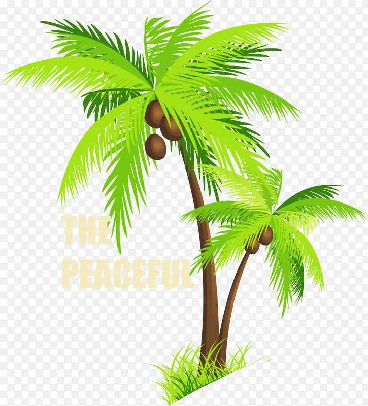 棕榈树 椰子 树