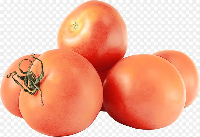蔬菜 茄子 樱桃番茄