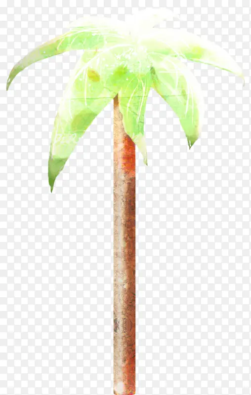 采购产品棕榈树 花盆 植物茎