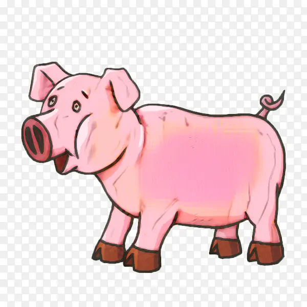 猪 绘画 卡通