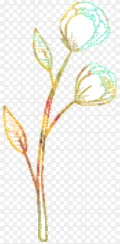 静物摄影 静物 植物茎