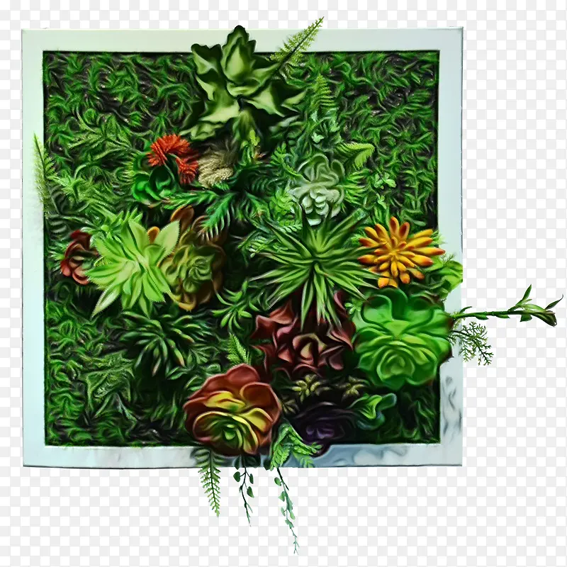 树 灌木 花