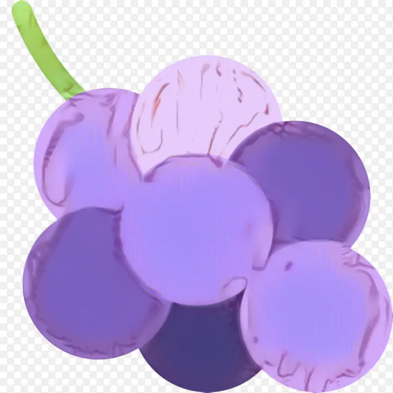 紫色 丁香 植物