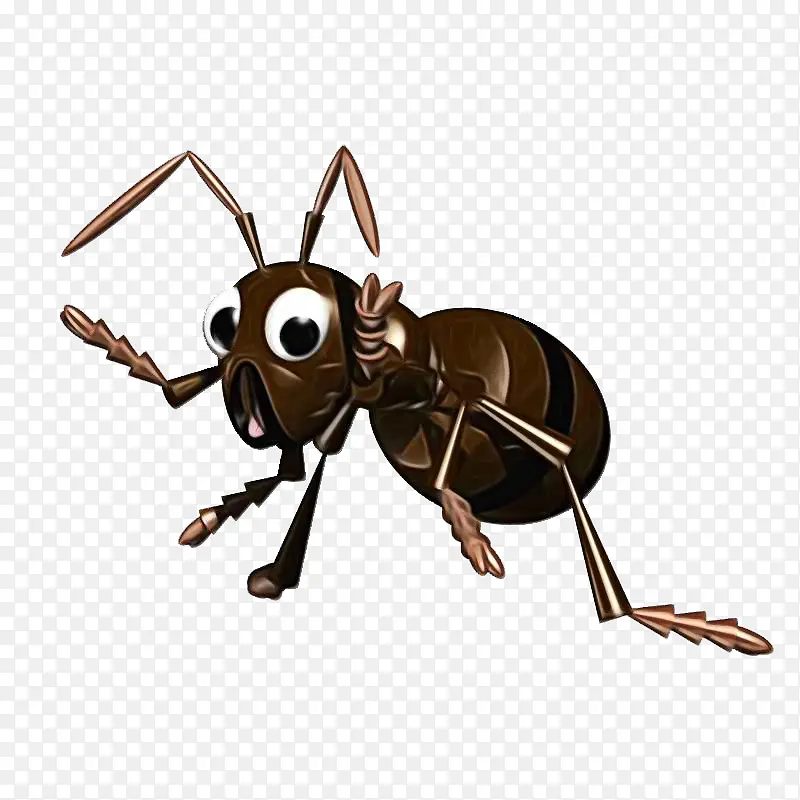 蚂蚁 蜜蜂 黑花园蚂蚁