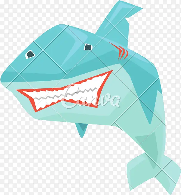 鲨鱼 绘画 大白鲨