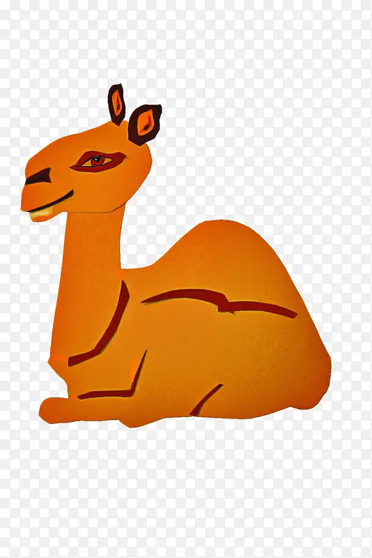 橙色 骆驼 美洲驼