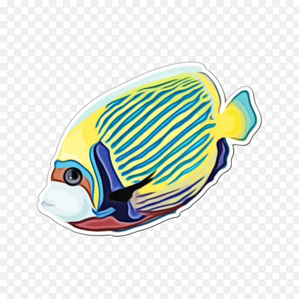 鱼 热带鱼 蓝色