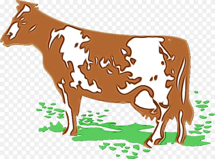 荷斯坦弗里西亚牛 牛磺酸牛 小牛